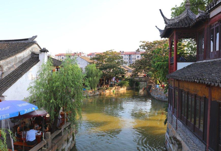 逃出小象森林
